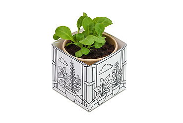 Goy greenlife - Ostern und Frühling -  Color & grow House