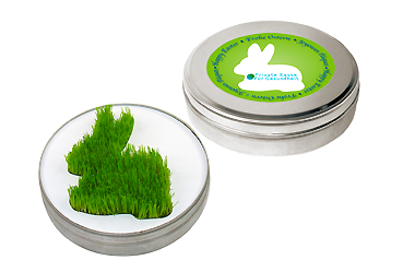 Goy greenlife - Ostern und Frühling - Wachsender Hase