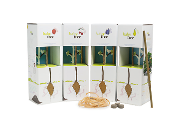 Goy greenlife - Pflanzen und Samen - Baby Tree