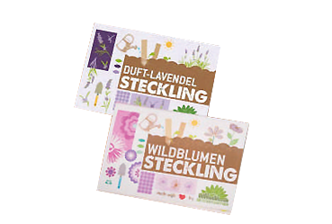 Goy greenlife - Pflanzen und Samen - Steckling