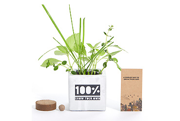 Goy greenlife - Pflanzen und Samen -  Hey Grow Pot