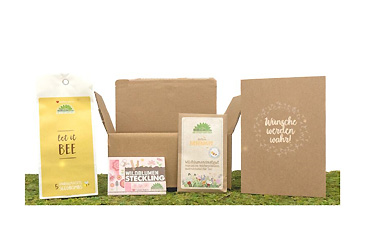 Goy greenlife - Pflanzen und Samen - Bloom Box