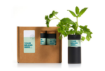 Goy greenlife - Pflanzen und Samen -  Desktop Garden Tube Set