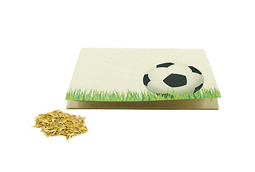 Goy greenlife - Pflanzen und Samen - Graspapier-Kärtchen Sportplatz
