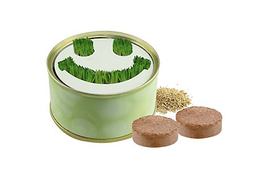 Goy greenlife - Pflanzen und Samen - Minigarten Smile