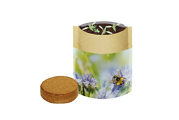 Goy greenlife - Pflanzen und Samen - Natur-Bag Biene