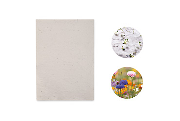 Goy greenlife - Pflanzen und Samen -  Papier mit Wildblumensamen