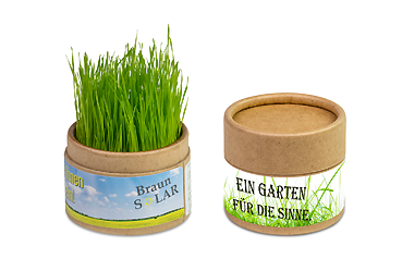 Goy greenlife - Pflanzen und Samen - Pflanz-Cup