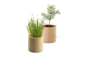 Goy greenlife - Pflanzen und Samen - Pflanz-Holz