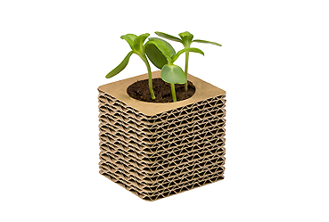 Goy greenlife - Pflanzen und Samen - Wellkarton-Pflanzwürfel