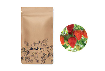 Goy greenlife - Pflanzen und Samen -  Saat-Set für Erdbeeren