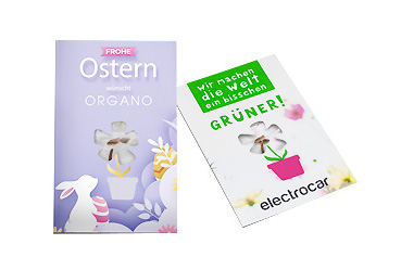 Goy greenlife - Pflanzen und Samen -  Samenkarte Mini Blume