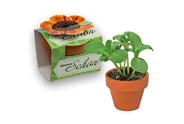 Goy greenlife - Pflanzen und Samen - Tontöpfchen-Blumen