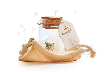 Goy greenlife - Pflanzen und Samen - Großer Wunscherfüller