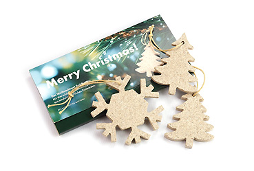 Goy greenlife - Weihnachten und Jahresende - Weihnachtsset 2nd Matter