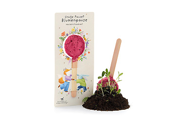 Goy greenlife - Pflanzen und Samen - Saatlolly mit Einsteckkarte